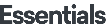 Services Elementor 25 essentials logo dark